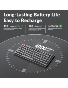 Teclado Mecánico Inalámbrico Keychron K2 Max RGB 75% 2