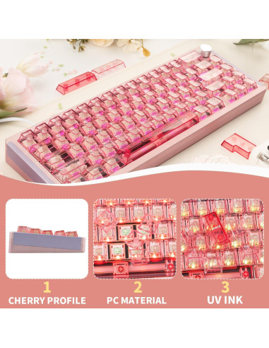Teclas Mecánicas Transparentes Rosa GEKUCAP 157 Teclas Cherry
