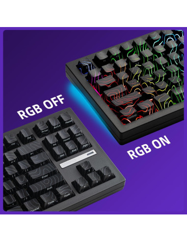 Teclado Mecánico Inalámbrico ZORNHER ZH870 80% RGB Negro