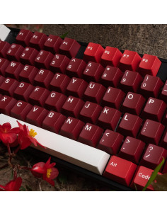 Set de Teclas PBT Mintcaps 173 Teclas Cherry Rojo para Teclados Mecánicos 2