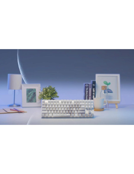Teclado Gaming Inalámbrico CHERRY MX 8.2 TKL RGB Blanco