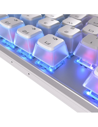 Teclado Gaming Inalámbrico CHERRY MX 8.2 TKL RGB Blanco