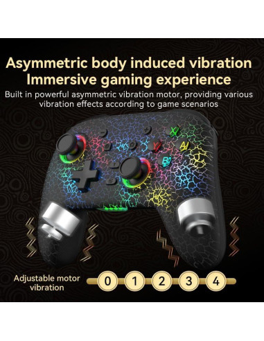 Controlador Inalámbrico Pro RALAN Negro para Nintendo Switch