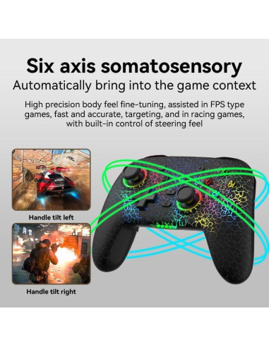 Controlador Inalámbrico Pro RALAN Negro para Nintendo Switch