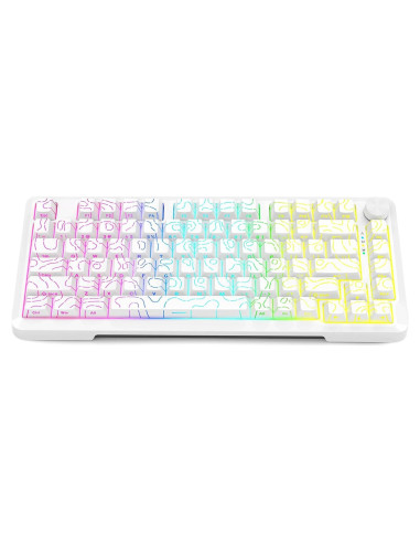Teclado Mecánico E-YOOSO Z-82 RGB 75% Hot Swappable 81 Teclas