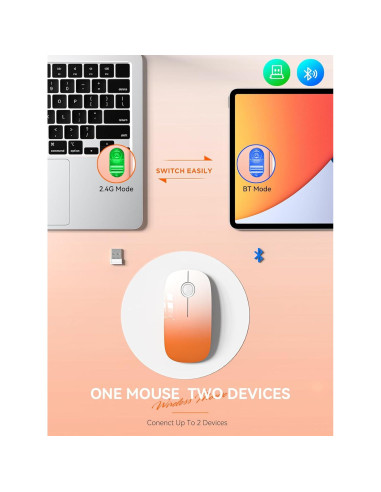 Ratón Inalámbrico RAPIQUE R306 Naranja Degradado 1600 DPI