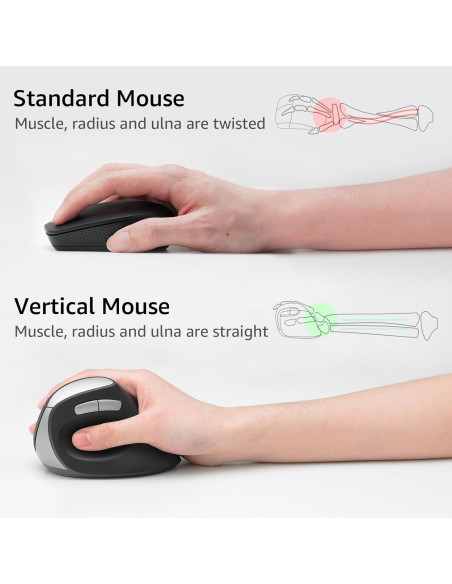 Ratón Vertical Ergonómico Rapoo EV250 Inalámbrico 800-1600 DPI