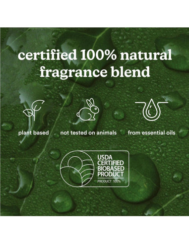 Aceite de Fragancia Marroquí Homedics SereneScent 120ml