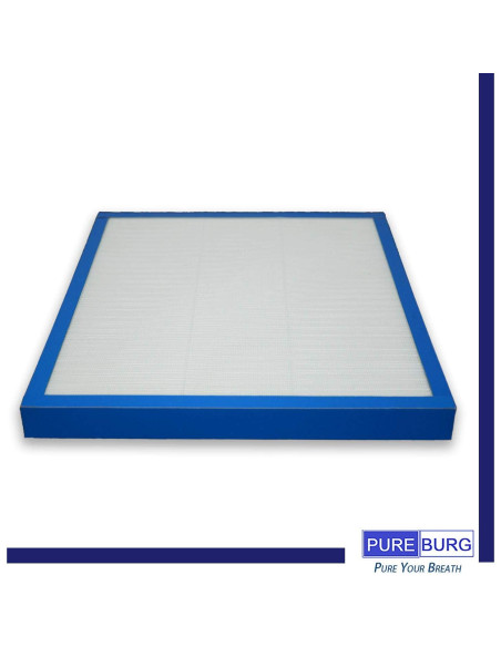 Filtro HEPA Verdadero PUREBURG AF-100FL para Purificador HoMedics