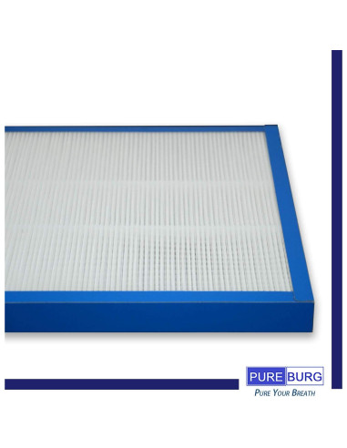 Filtro HEPA Verdadero PUREBURG AF-100FL para Purificador HoMedics