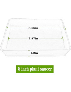 Plato Cuadrado para Plantas 20 cm - 5 Unidades LWALRS 2