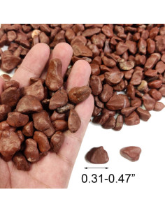 Rocas Rojas Pequeñas HappyFiller 8.16 kg para Acuarios y Jardín 2