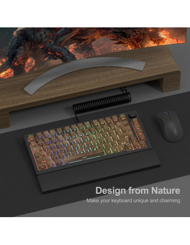 Juego de Teclas Dagaladoo Shine Through PBT 75% Nogal