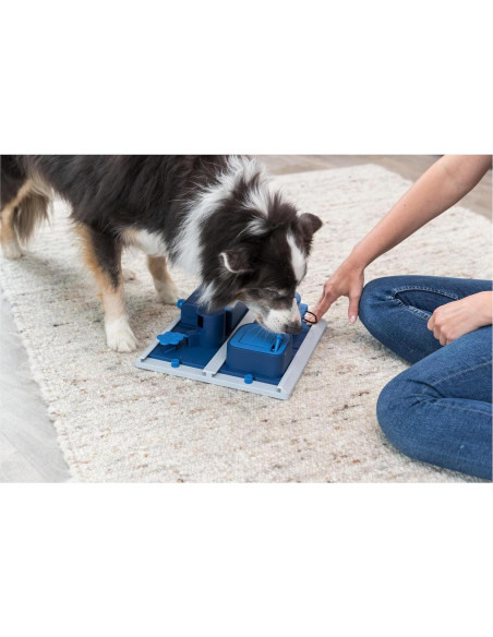 TRIXIE Caja de Póker Juguete Enriquecimiento Perros Nivel 3