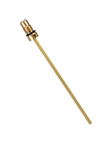 Conjunto Válvula de Retención y Vástago de Aire FATCANMA