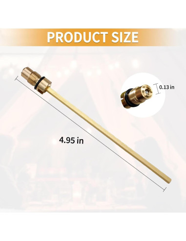 Conjunto Válvula de Retención y Vástago de Aire FATCANMA