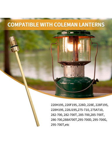 Conjunto Válvula de Retención y Vástago de Aire FATCANMA