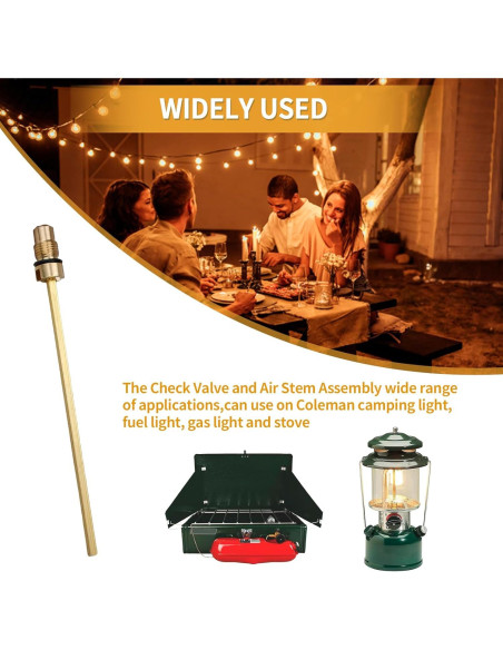 Conjunto Válvula de Retención y Vástago de Aire FATCANMA