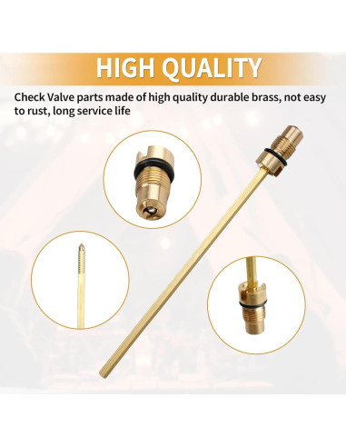 Conjunto Válvula de Retención y Vástago de Aire FATCANMA