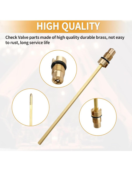 Conjunto Válvula de Retención y Vástago de Aire FATCANMA