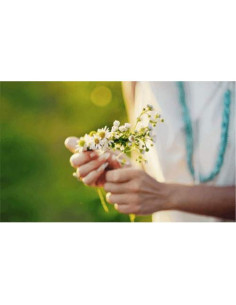 Crema de Manos y Uñas BALSAM 3x100ml con Aloe Vera y Manzanilla 2