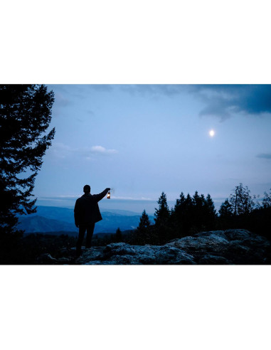 Linterna de Aceite Huracán Stansport 20.32 cm Ajustable