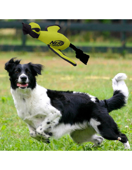 Juguete para Perros Nerf Dog Trackshot Lanzador Pato 41.9cm Verde
