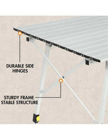 Mesa Camping PORTAL Plegable 120x70 cm Plata con Bolsa