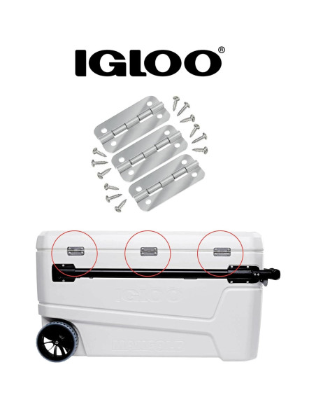 Bisagras de Acero Inoxidable Igloo para Neveras - Juego de 3