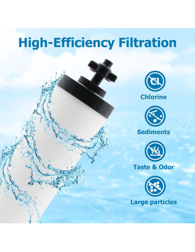 Filtro Cerámico Larayci Reemplazo 2 Unidades para Berkey