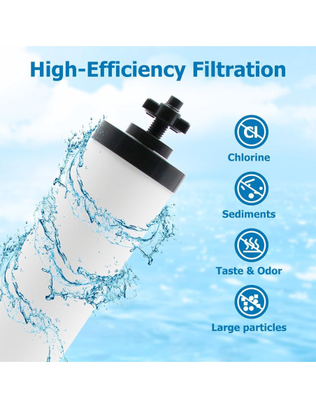 Filtro Cerámico Larayci Reemplazo 2 Unidades para Berkey Filtro Cerámico Larayci Reemplazo 2 Unidades para Berkey