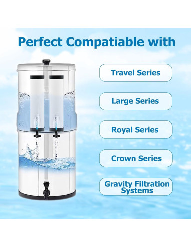 Filtro Cerámico Larayci Reemplazo 2 Unidades para Berkey