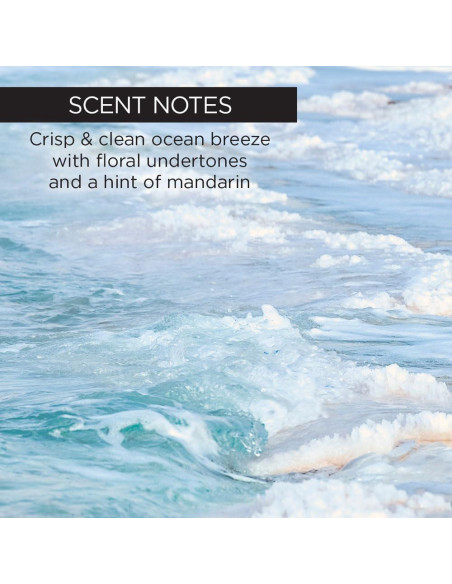 Exfoliante Corporal Whish de Azúcar Moreno y Sal Marina Kabosu 226.8 g Exfoliante Corporal Whish de Azúcar Moreno y Sal Marina Kabosu 226.8 g