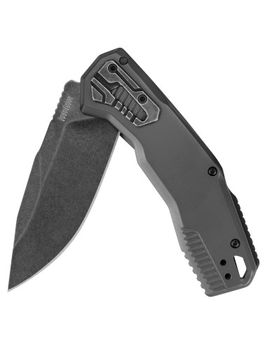 Cuchillo de bolsillo Kershaw Cannonball D2 8.9 cm EDC
