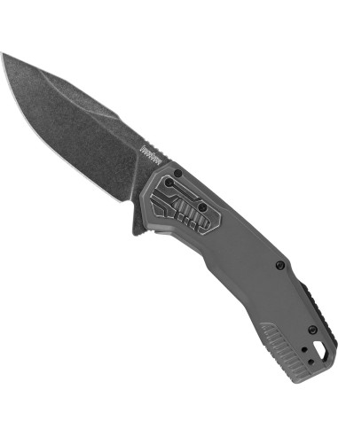 Cuchillo de bolsillo Kershaw Cannonball D2 8.9 cm EDC