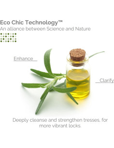 Champú Energizante GIOVANNI Árbol de Té 1L - Menta Eucalipto 2