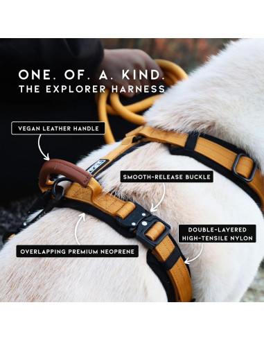 Arnés para Perros Made to Roam Y Ajustable Nylon Acolchado