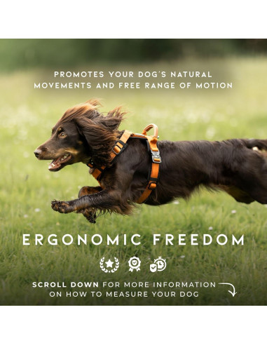 Arnés para Perros Made to Roam Y Ajustable Nylon Acolchado