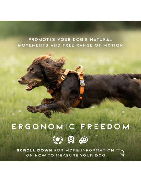 Arnés para Perros Made to Roam Y Ajustable Nylon Acolchado