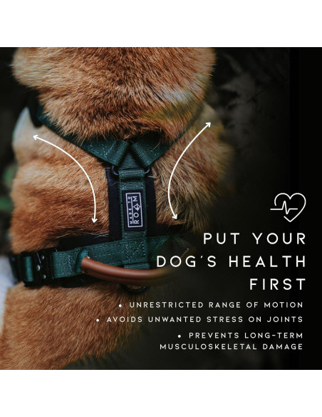 Arnés para Perros Made to Roam Y Ajustable Nylon Acolchado