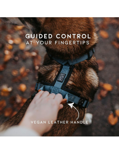 Arnés para Perros Made to Roam Y Ajustable Nylon Acolchado