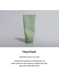 Limpiador Espumoso Abib Heartleaf 150 ml para Acné 2