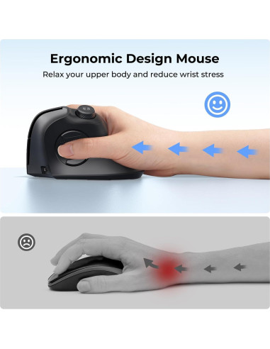 Ratón Ergonómico Inalámbrico Seenda MOU-302 Negro USB/Bluetooth