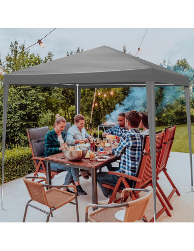 Carpa de Fiesta Impermeable Outvita 2m x 2m con Paredes