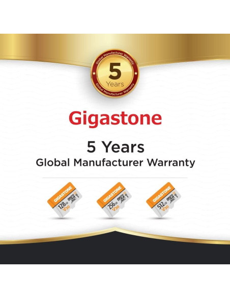 GIGASTONE 128GB Micro SD Card 2-Pack UHS-I V30 4K 95MB/s GIGASTONE 128GB Micro SD Card 2-Pack UHS-I V30 4K 95MB/s