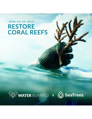 Silla de Playa Plegable Water Buffalo Bondi - 3 Posiciones, Portavasos