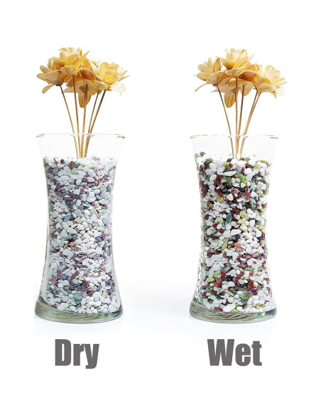 Cayway Piedras Naturales y Arena para Plantas 1.1kg