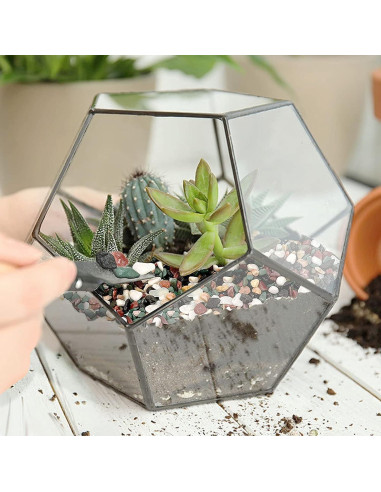 Cayway Piedras Naturales y Arena para Plantas 1.1kg