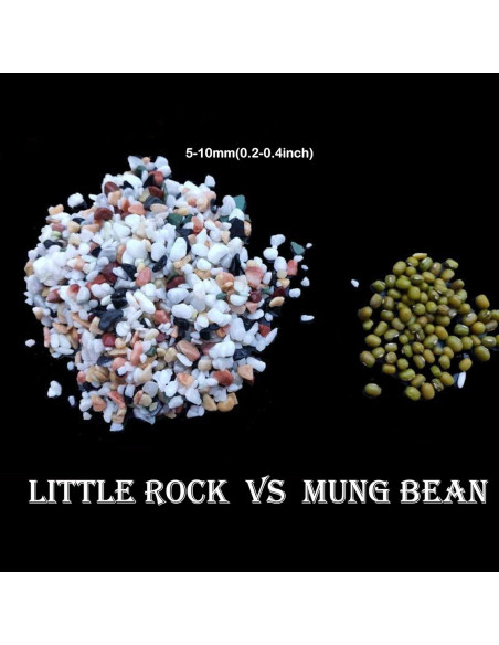 Cayway Piedras Naturales y Arena para Plantas 1.1kg