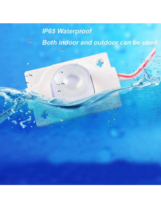 Módulo LED Erudite 20pcs 6000K 150LM IP65 para Inflables 2